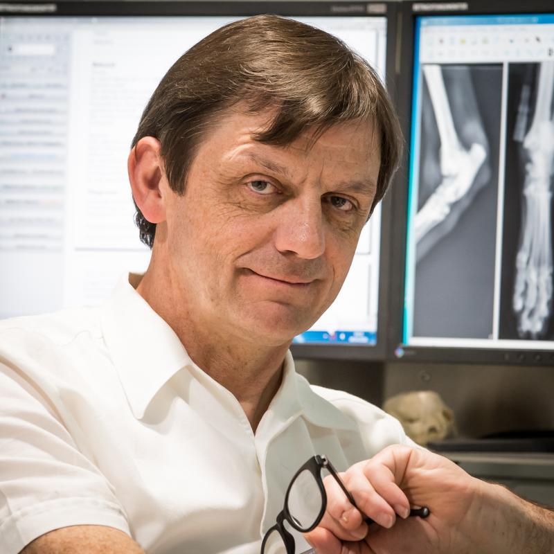 Seit Anfang März ist Eberhard Ludewig neuer Professor und Leiter der Klinischen Abteilung für Bildgebende Diagnostik der Vetmeduni Vienna.