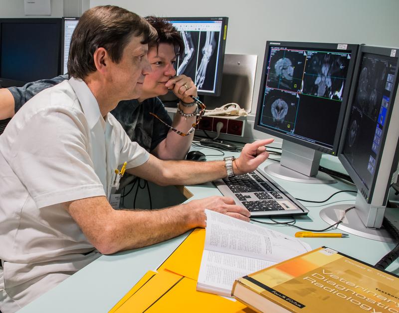 Die Bildgebende Diagnostik hat betreffend Technik und Analyse eine sehr kurze Halbwertszeit. Mit dieser gilt es für Ludewig auch in der Lehre Schritt zu halten.