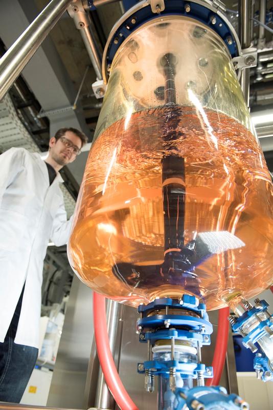 Rührreaktor für das Upscaling von Laborsynthesen bis in den 100-Liter-Pilotmaßstab. Ausgerüstet mit In-situ-Analytik für Partikelgrößenmessung zur kontinuierlichen Prozesskontrolle.