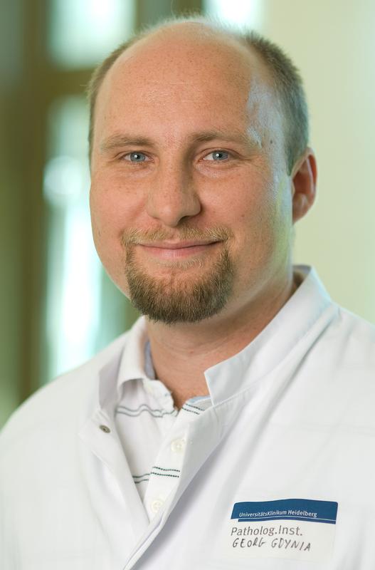 Dr. Georg Gdynia, Abteilung für Allgemeine Pathologie