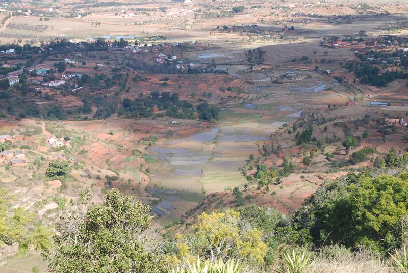 Reisfelder auf Madagaskar