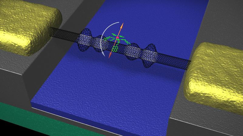 Die mechanischen Eigenschaften der Kohlenstoffnanoröhre (schwarz) bestimmen das Umklappen des Spins (orange) eines Moleküls (grün und rot).