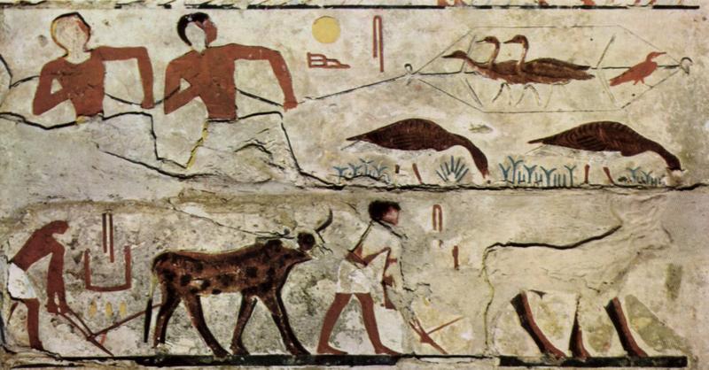 Seit Jahrtausenden prägen Menschen die Landschaften, in denen sie leben. Vogelfang (Gänse) und Feldbestellung im Alten Ägypten um ca. 2700 v. Chr. 
