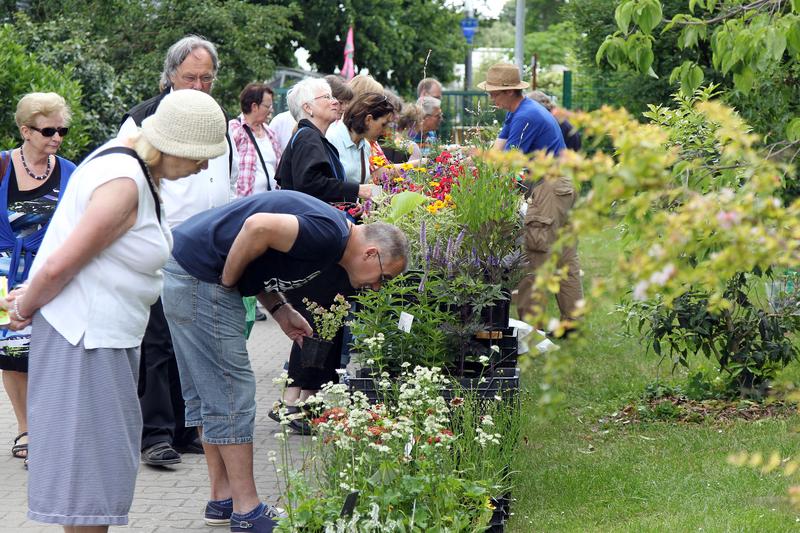 Sommerfest im Botanischen Garten