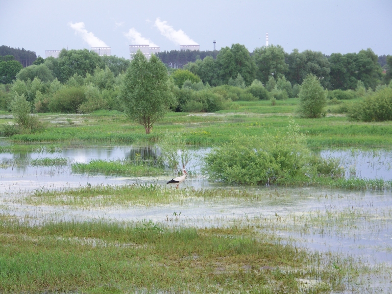 Interventionslandschaft Polesien: Überschwemmungsgebiet des Flusses Styr beim Kernkraftwerk Rivne, Kuznecovsk (Ukraine).