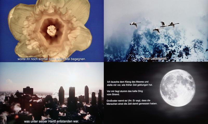 Collage mit Bildern aus dem siegreichen Film von Manuela Lindig.