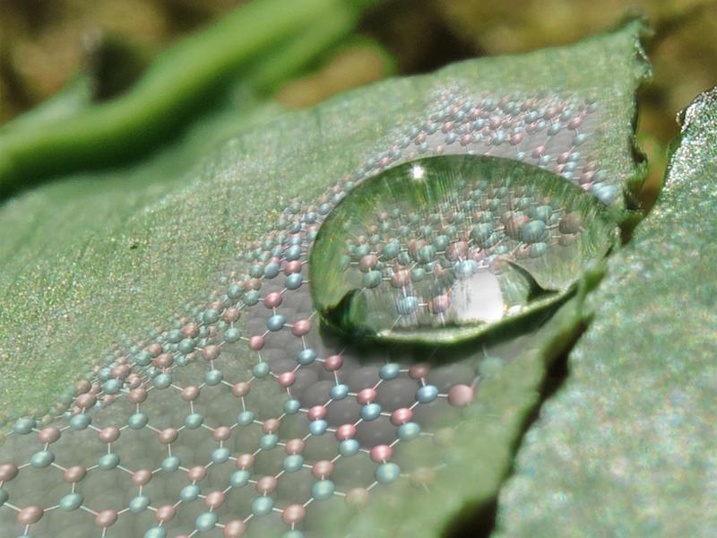 Die atomare Struktur entscheidet über die Benetzbarkeit