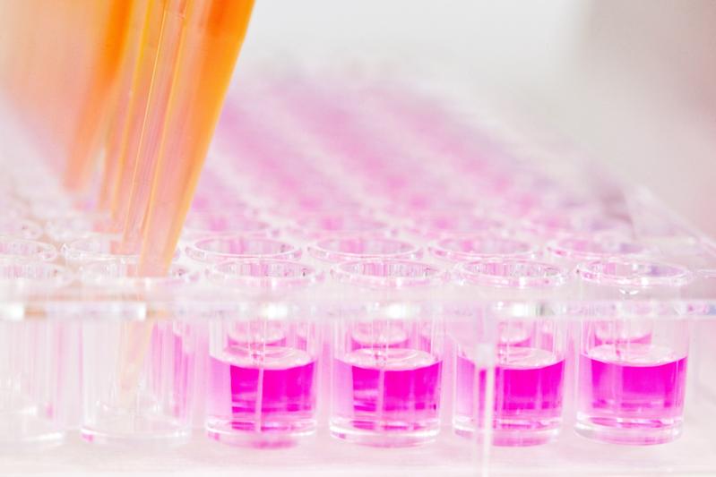 Grundlagenforschung die dem Patienten dient: Sind Krankheitsursachen bekannt, können Diagnose und Therapie verbessert werden. 