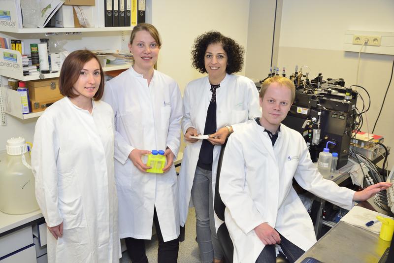 Tracked down the mechanisms of dangerous infections in patients with cirrhosis of the liver: Alisa Ismaili, Lisa Mareike Assmus, Carl-Philipp Hackstein, Dr. Zeinab Abdullah (from left).
