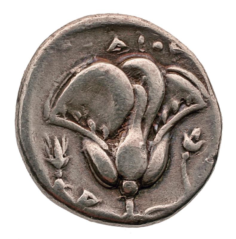 Die Rose von Rhodes als Münzbild