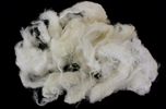 Fig. 1: Alginate-viscose fibres produced using bacterial alginate. 