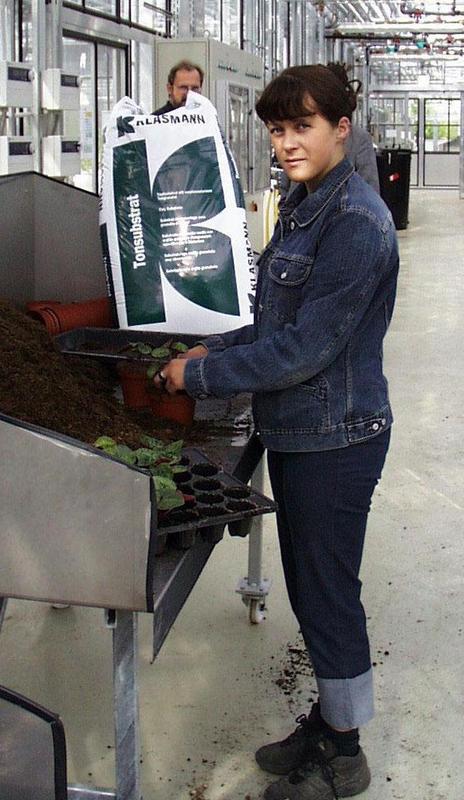 Anna Keuck beim Topfen von Cyclamen