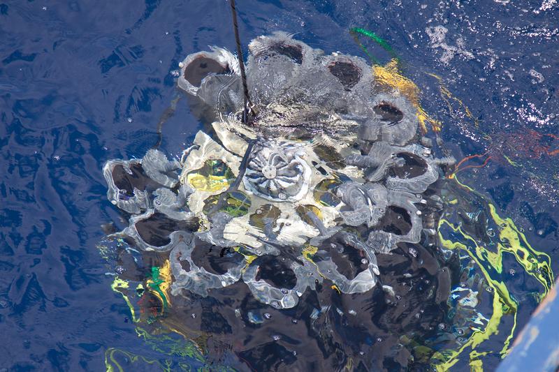 Der Kranzwasserschöpfer wird zu Wasser gelassen, um in der Sauerstoffminimumzone Wasserproben zu nehmen.