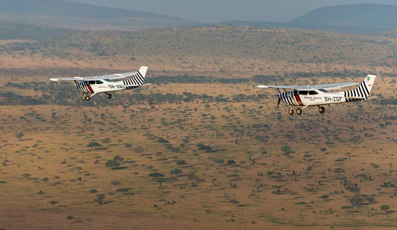 Die Zoologische Gesellschaft Frankfurt zählte im Rahmen des "Great Elephant Census" die Bestände in der Serengeti. Gezählt wurde nach einer standardisierten Methode mithilfe von Kleinflugzeugen.