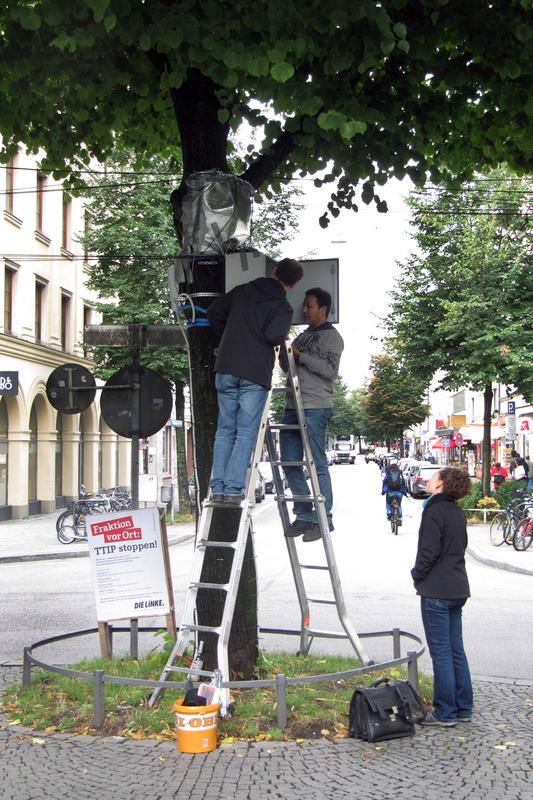 Forscher nehmen Proben an Winterlinden auf dem Pariser Platz in München