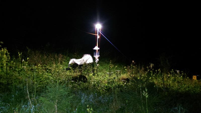 Versuchsaufbau mit dem die Berner Forscher untersuchten, wie künstliches Licht auf die Bestäubung wirkt