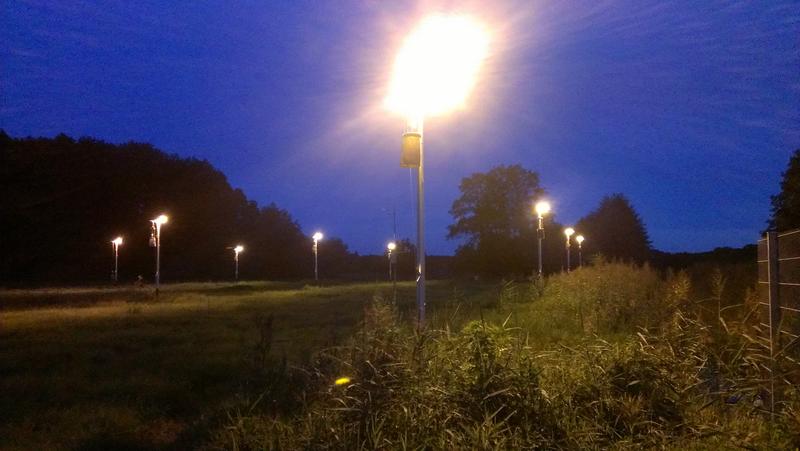 Experimental field in Westhavelland northwest of Berlin, one of the darkest regions of Germany. 