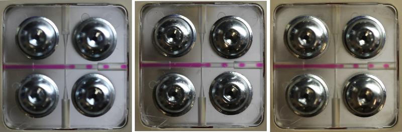 Abb. 2: DMEM Segmentierung in Perfluordecalin mit hydrophobisierten, mikrostrukturierten Spritzguss gefertigten FMS; links: FMS aus PC2805; rechts: FMS aus COC6017.