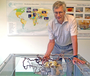 Preisträger des Wissenschaftspreises 2016  der Deutschen Zoologischen Gesellschaft: Prof. Dr. Diethard Tautz (Max-Planck-Institut für Evolutionsbiologie, Plön)