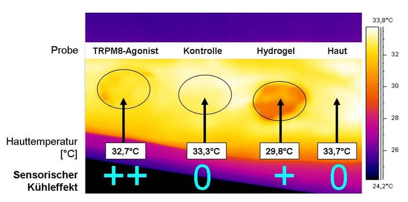 Abb. 1: Thermografie-Aufnahme des Unterarms eines Probanden.