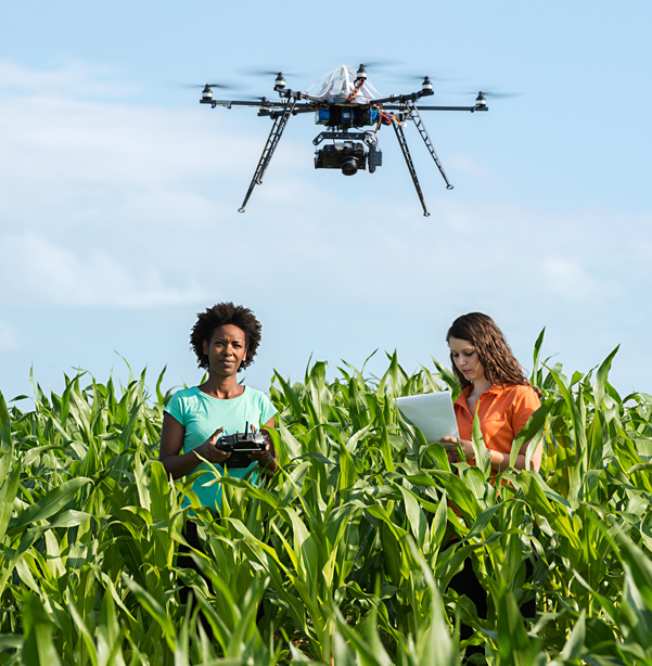 Students of Agricultural Sciences working for a research project with drones in the field. 