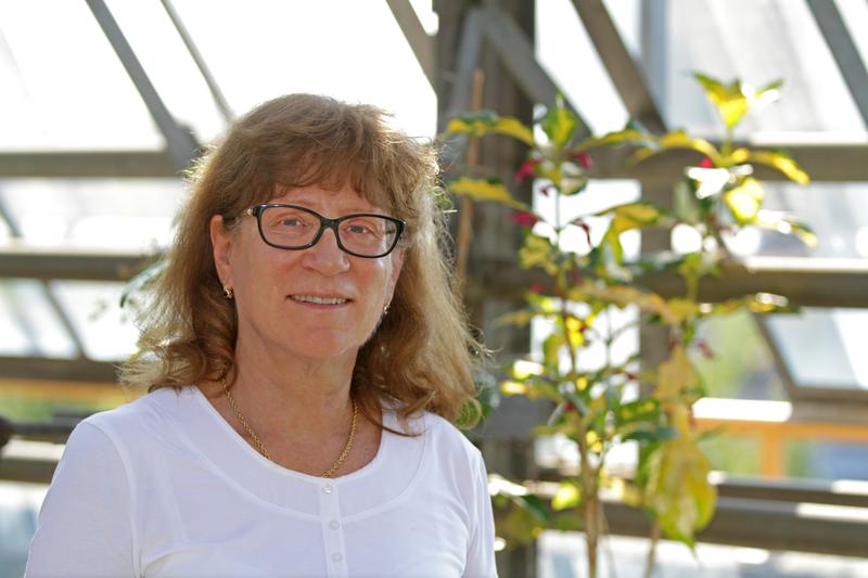 Prof. Dr. Natalia Dudareva arbeitet als Humboldt-Forschungspreisträgerin seit September 2016 an der Heinrich-Heine-Universität Düsseldorf.