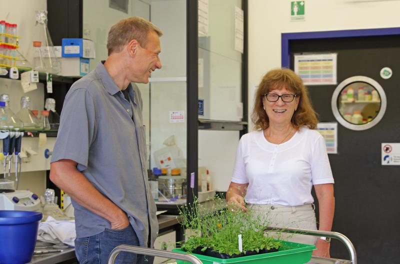 Prof. Dudareva im Labor des Instituts für Biochemie der Pflanzen zusammen mit ihrem Gastgeber, Prof. Dr. Andreas Weber. In Düsseldorf arbeitet sie zu Transportmechanismen von Pflanzenduftstoffen.