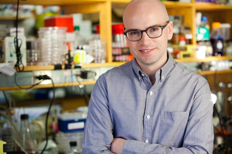 Professor Dr. Knut Drescher lehrt Biophysik an der Philipps-Universität und erhält einen „Starting Grant“ des europäischen Forschungsrates ERC.