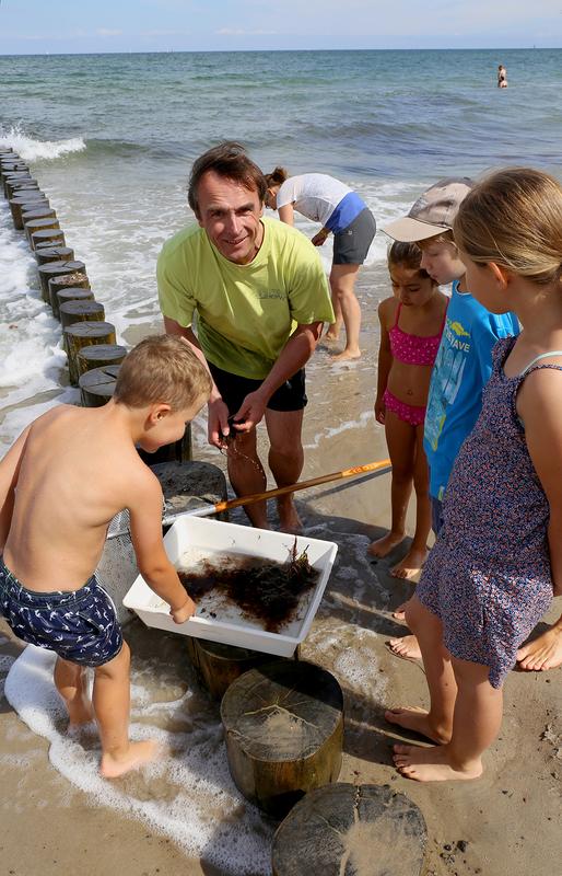 Nichts für Wasserscheue: Der in diesem Jahr erstmals durchgeführte IOW-Strandaktionstag "Nimm die Küste unter die Lupe!"