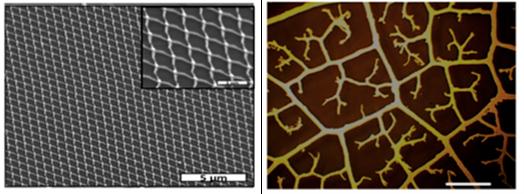 SEM – Abbildung eines metallischen Nano Netzwerks in (links) periodischer  Aufbau und  eine optische Abbildung einer fraktalen Struktur (rechts). 