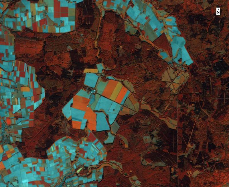 Satellitenaufnahme der Domäne Beberbeck (Hessen), Infrarotversion. Vegetation erscheint in verschiedenen Rottönen. Gut erkennbar die unterschiedlichen Waldtypen (dunkelrot Nadel- und hellrot Laubw 