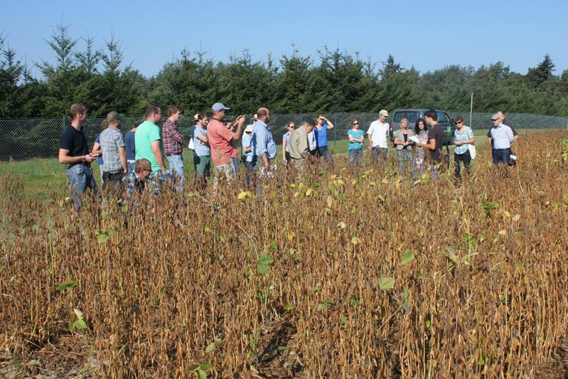 Wissenschaftler*innen, Landwirt*innen und Berater*innen diskutieren gemeinsam über den Sojaanbau in Brandenburg