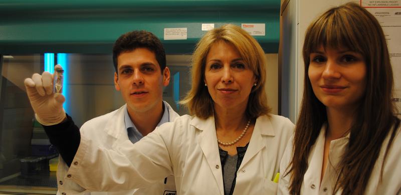 Erika Jenson-Jarolim, Josef Singer and Judit Fazekas showed that mimotopes of the tumor antigen HER2 complexed with viral-like particles can directly be used for prophylactic vaccination.