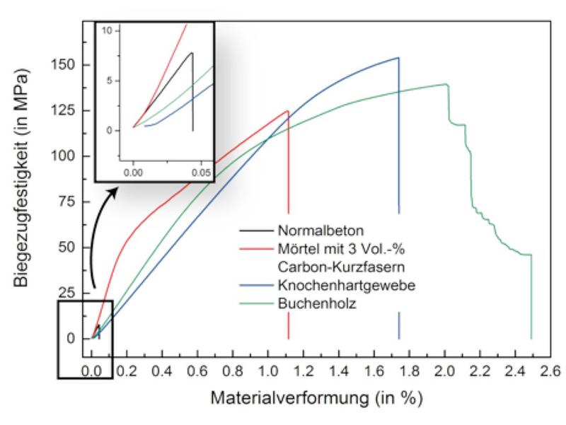 Die Messkurven (3 Punkte-Biegung) von Normalbeton, Mörtel mit gerichteten Carbon-Kurzfasern, Knochenhartgewebe und Buchenholz zeigen die vergleichsweise geringe Festigkeit von Normalbeton.