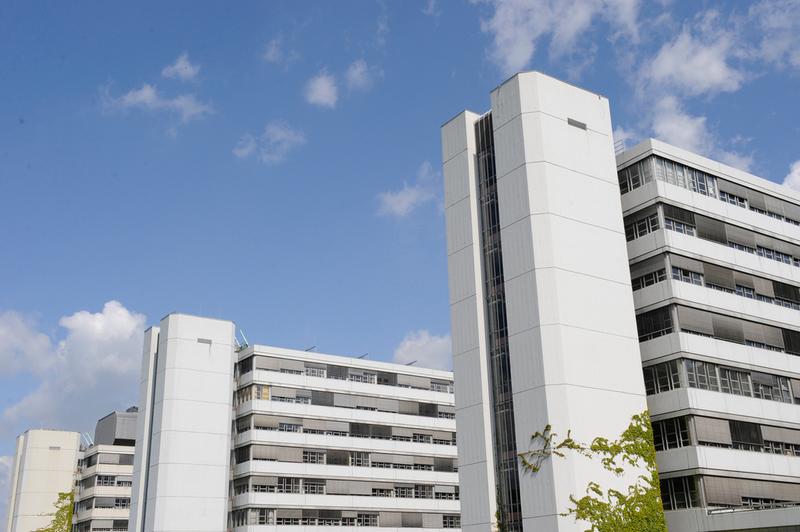 Bielefeld University is launching its biggest wave of tenure appointments for professors since its founding in 1969. 