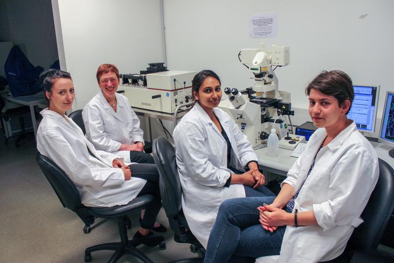 Photo information:  They discover how a healthy thyroid works: Maren Rehders, Professor Klaudia Brix, Vaishnavi Venugopalan und Maria Qatato from Jacobs University (from left to right).