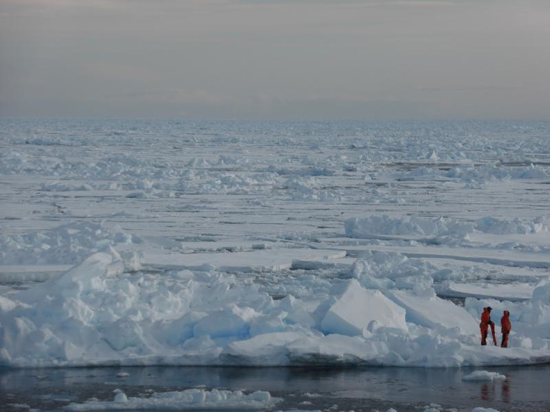 Forscher erkunden das Arktische Meereis