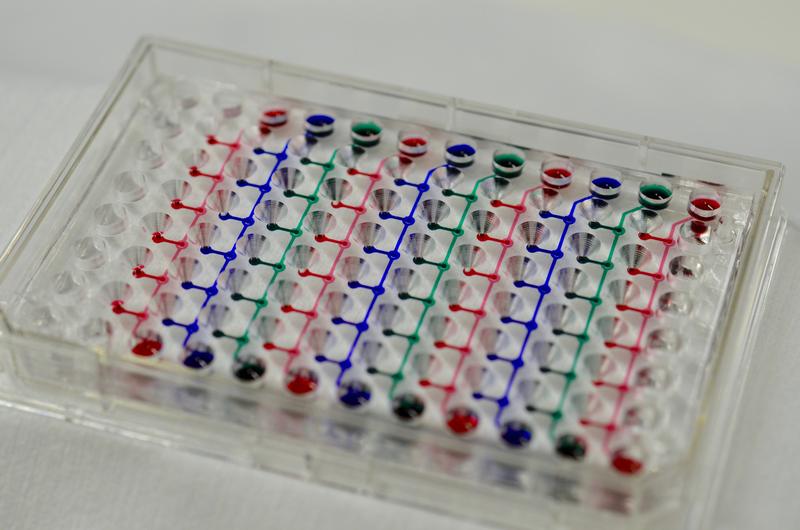 Von den ETH-Wissenschaftlern entwickelte spezielle Mikrotiterplatten (neue Generation) für die Anwendung der neuen Technik. 