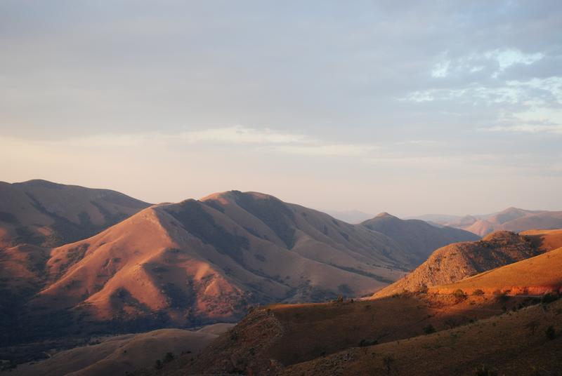 Der Barberton Greenstone Belt in Südafrika: Wo heute felsiges Grasland ist, floss vor 3,2 Milliarden Jahren ein verwilderter Fluss ("Zopfstrom"). In dessen Ebene lebten Bodenorganismen. 