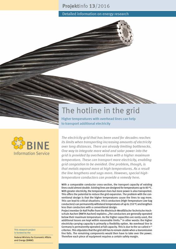 The BINE Projektinfo brochure entitled "The hotline in the grid"