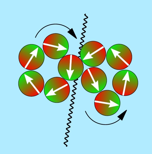 Schnappschuss von einem „Watscheltanz“ nach der Fusion von zehn schwimmenden Mikromagneten.