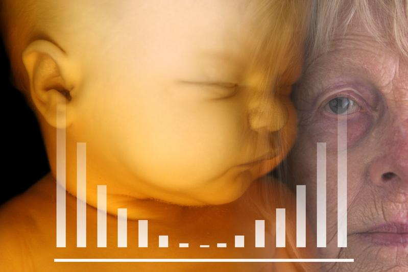 Im Alter werden bei einer Muskelverletzung Signalwege ausgelöst, die sonst nur in der Embryonalentwicklung eine Rolle spielen und die Regeneration alter Skelettmuskeln massiv beeinträchtigen.