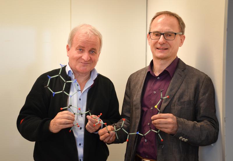 Peter Schönheit und Axel Scheidig erforschten die Umwandlung energiereicher Verbindung in Urbakterien. In den Händen halten die Wissenschaftler ein Modell des Acetyl-Coenzyms A.