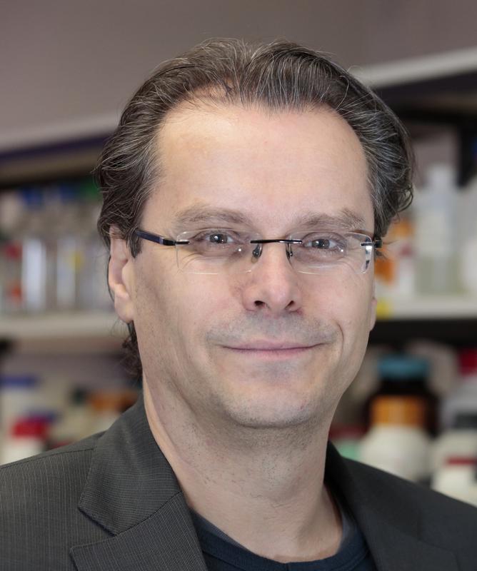 Senior-Autor der Publikation: Prof. Dr. Bernd Wollnik, Direktor des Instituts für Humangenetik der Universitätsmedizin Göttingen. 