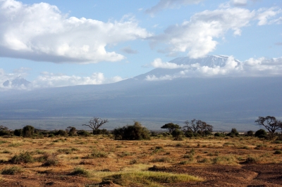 Extreme dry periods alternating with rainy seasons characterize the savanna ecosystem, like this one in East Africa.