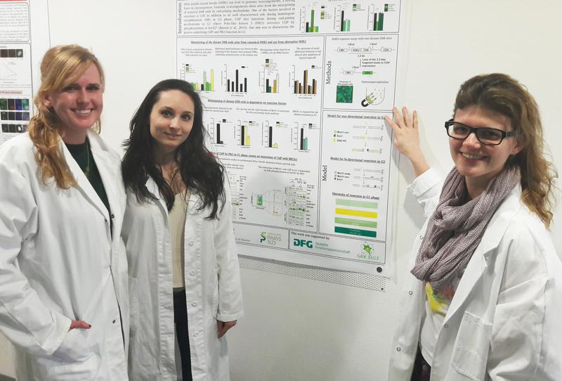Die Autorinnen der Veröffentlichung zur Reparatur von DNA-Schäden: Monika Steinlage, Szilvia Juhász und Ronja Biehs (v.l.)