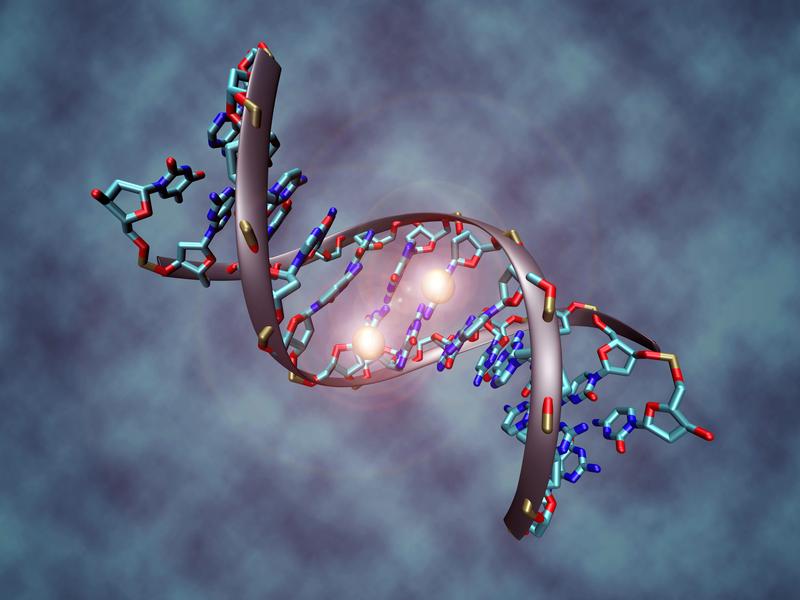 Künstlerische Darstellung eines methylierten DNA-Moleküls 