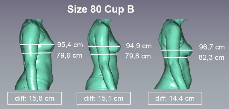 In terms of measurements, all three women have the same cup size, but the volume varies. How much volume should be assigned to each cup size?