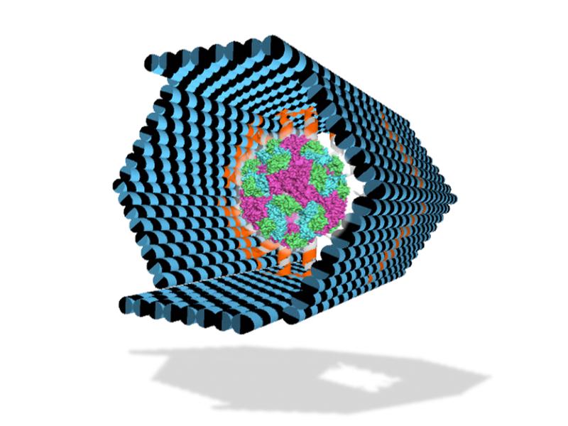 DNA-Container