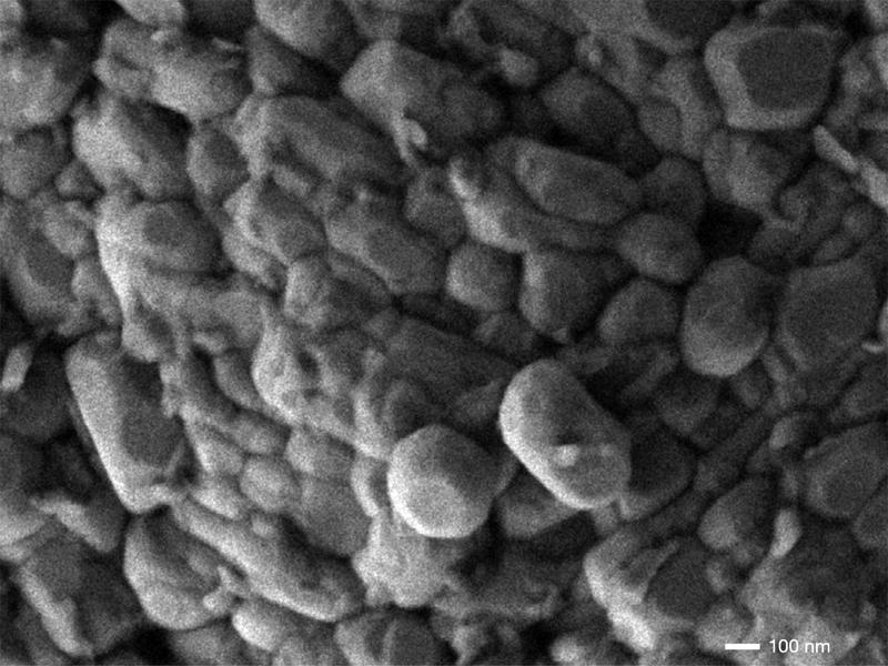 Scanning electron micrograph of the electrode material investigated